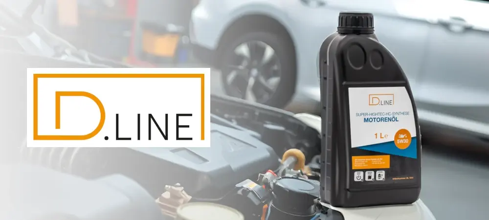 D.LINE Bremsenreiniger 10 Liter Kanister (1