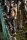ALBATROS FOREST ISO Neoprenstiefel grün