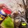WD-40 SPECIALIST 400ml Hochleistungsschmierspray 49396