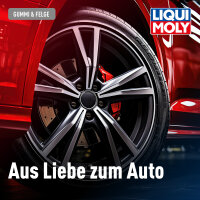 LIQUI MOLY Felgenreiniger Spezial 1 l (1597)