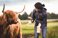 BALLISTOL Animal Tierpflegeöl, 500 ml (26520)