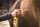 BALLISTOL Animal Tierpflegeöl, 500 ml (26520)