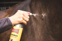 BALLISTOL Animal Tierpflegeöl, 10 ml (26560)