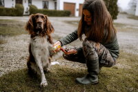 BALLISTOL Animal Tierpflegeöl Spenderbox, Spender-Box mit 28 großen Pflegetüchern (26575)