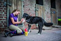 BALLISTOL Animal Tierpflegeöl Spenderbox, Spender-Box mit 28 großen Pflegetüchern (26575)