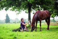 BALLISTOL Stichfrei Animal - Insektenschutz