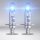OSRAM COOL BLUE® INTENSE H1 Hängebox Eco 64150CBN-2HB