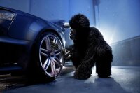 SONAX FelgenBürste Beast Edition 1 Stück 04917410
