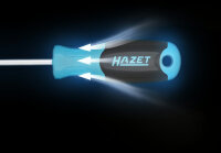 HAZET Schraubendreher Satz Torx 811T/6