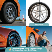 TUGA Aluminium-Teufel Plus Felgenreiniger rot Kanne 5 l (AT-5-D)