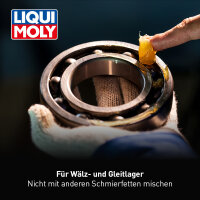 LIQUI MOLY Silicon-Fett transparent 100 g (3312)