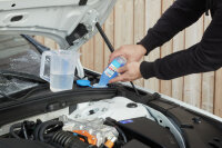 SONAX 03321000  AntiFrost+KlarSicht Konzentrat Citrus 250 ml